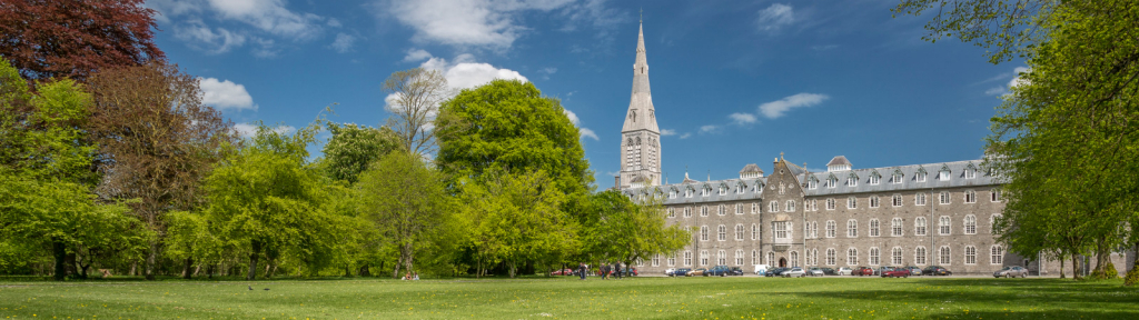 Council Irish Universities Association