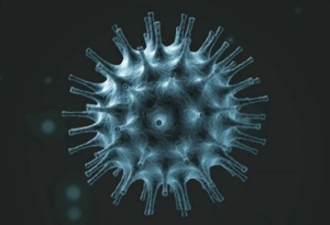 University Updates and FAQs on COVID-19