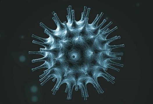 IUA Statement: Universities coordinate contingency planning for dealing with spread of Coronavirus