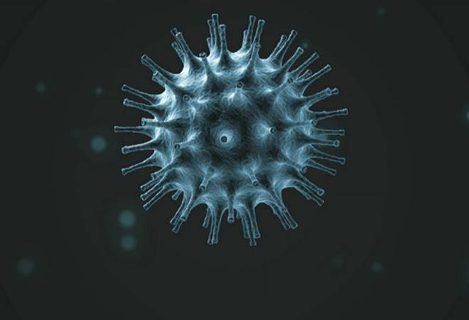 University Updates and FAQs on COVID-19