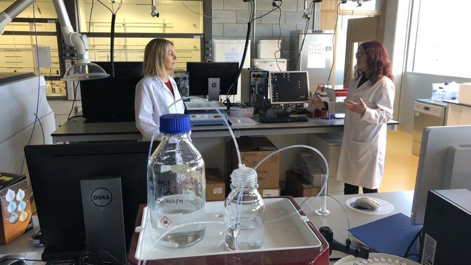 Scientists at UL make solution to aid more testing