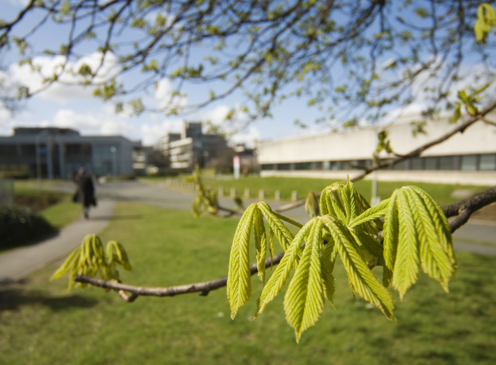 15.06.21 – IUA Welcomes Cabinet Approval and Publication of a Plan for the Safe Return to Campus in the Autumn 