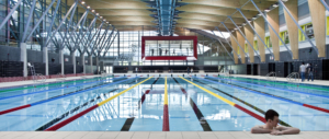 Sport Scholarships in Irish Universities – International Day of University Sport 2020