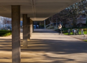 The Journal – Dublin universities cancel on-campus activities, move most classes online