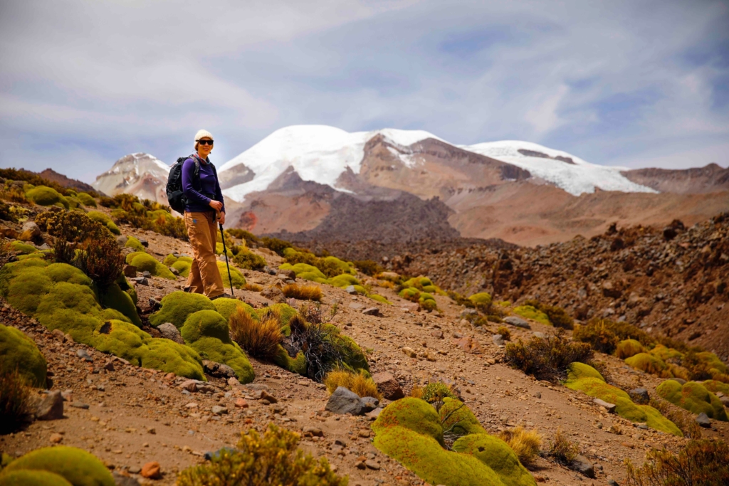 MJackson-Peru IDWGS