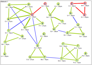 Network map that is used in the research – it is a real (anonymised) crime network