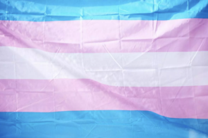 DCU Lunch with LGBTQ+ Activist The Trans Pride Flag Rebecca Tallon de Havilland