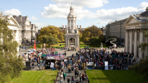 TCD Queer Inclusion: In Higher Education, Healthcare, and Beyond