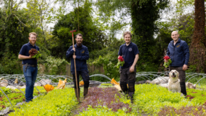 The Gnomes, sustainable market gardening at DCU