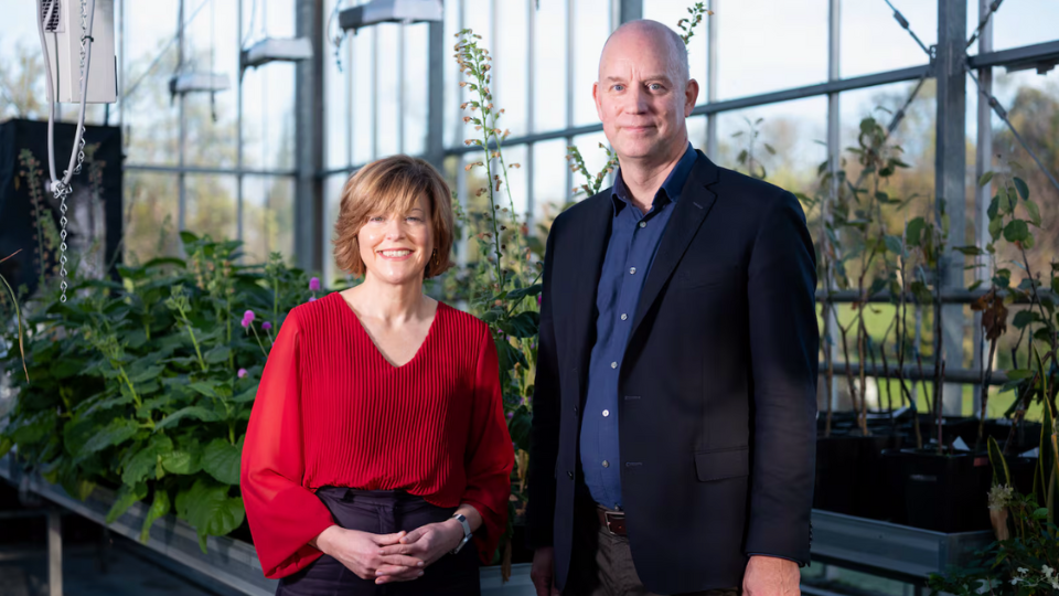 Addressing Green Skills with MicroCreds